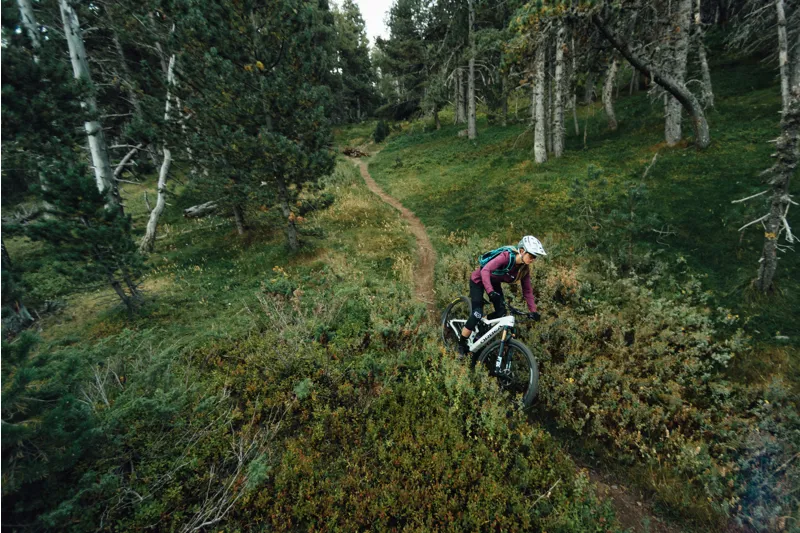 Orbea Rise M10 29er Electric Mountain Bike 2022 Coal Blue/Red Gold-4